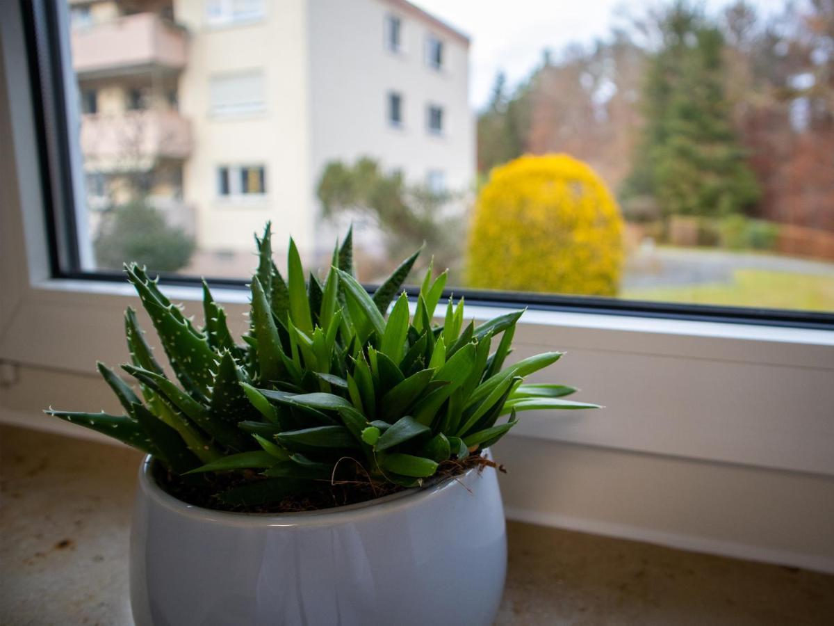Seewaldblick - Ferienwohnung Am Bodensee FDH Kültér fotó